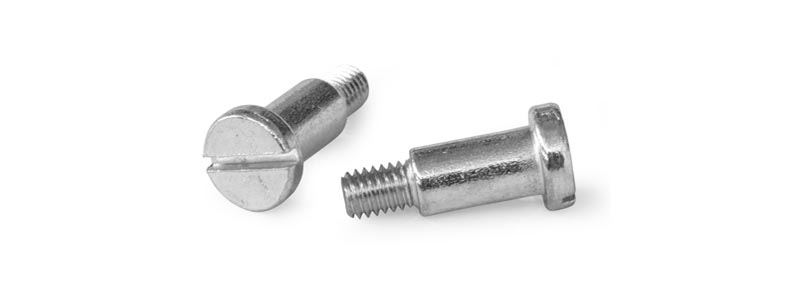 Slotted Cheese Head Screw manufacturer