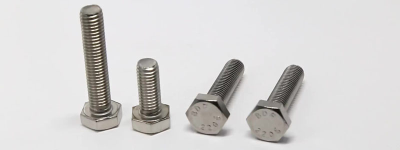 Bolt Supplier in Germany